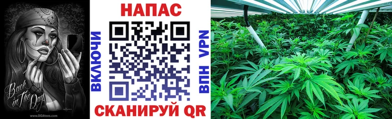 Канабис планчик Поронайск
